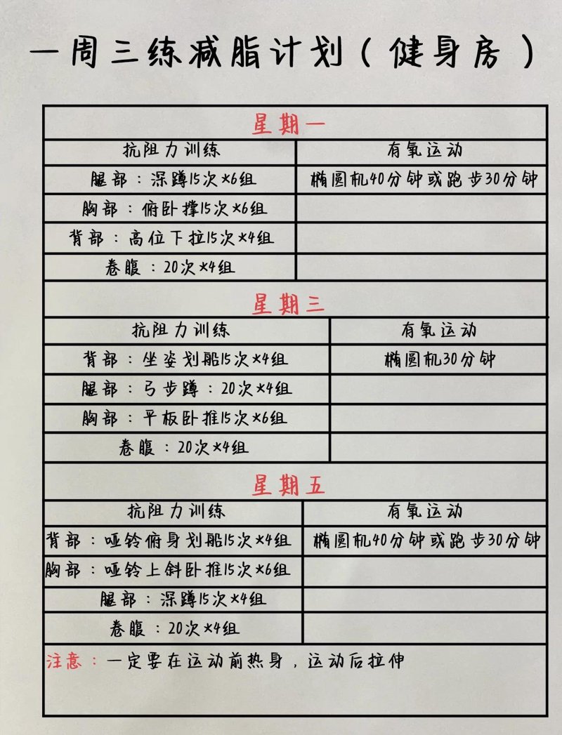 南充健身训练网：连接运动与健康的桥梁